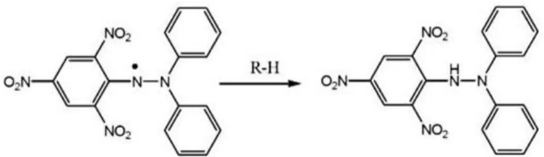 Figure 2.1. DPPH assay mechanism. 