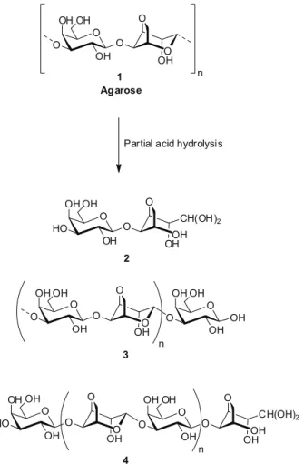 Figure 1. Production of reducing agaro-oligosaccharides  through partial acid hydrolysis of agarose.