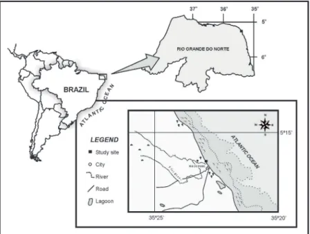 Figure 1. Map showing the study location: Rio do Fogo Beach, Rio Grande do Norte State, Brazil.