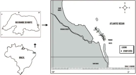 Figure 1. Study area showing the sampling stations.