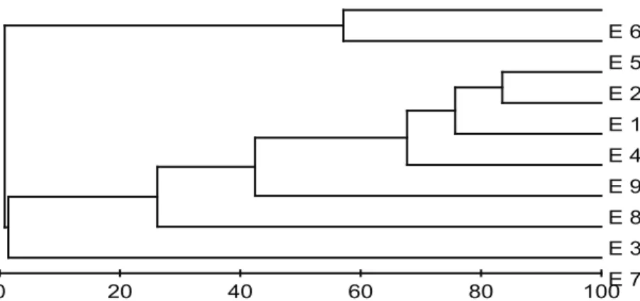 Figure 5. Cluster analysis based on the biological composition of the sampling stations.