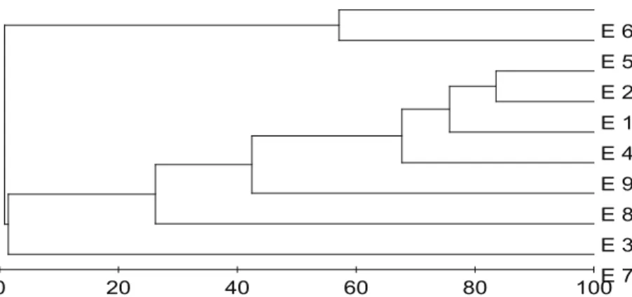 Figure 5. Cluster analysis based on the biological composition of the sampling stations.