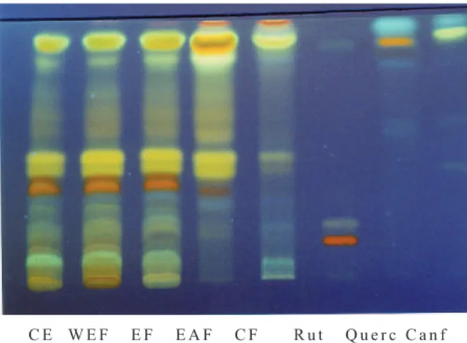 Figure 1. Chromatographic profile of extracts of C. racemosa. 