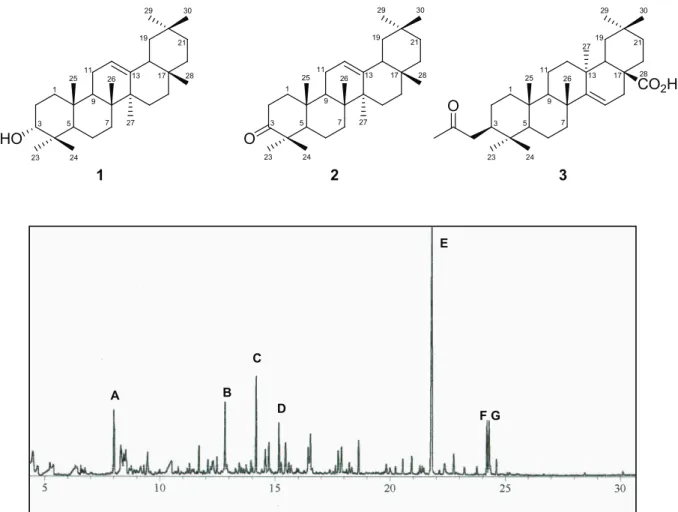 Figure  1.  Total  ion  chromatogram  of  the  hexanic  phase  from  Stillingia  oppositifolia,  Euphorbiaceae