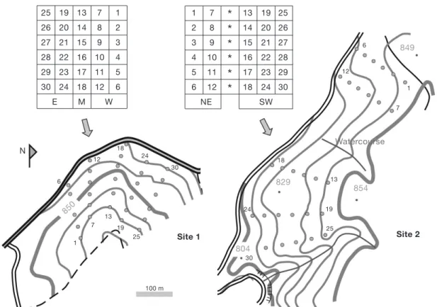 Figure 1. Sampling design showing location of sampling points. Box arrow represents viewpoint for posting plots