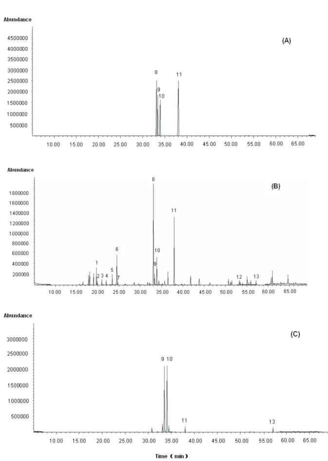 Figure 1.  TIC  of  Rhizoma  Atractylodis  extracts  from  different  producing  areas  in  GC-MS  analysis
