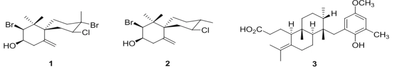 Table  3.  1 H-  (CDCl 3 ,  300  MHz)  and  13 C-NMR  (CDCl 3 ,  75.5  MHz)  data  for  the  major  components  of  the  crude  extracts  from  Laurencia dendroidea, Stypopodium zonale, Ulva fasciata, Codium decorticatum, Penicillus capitatus and Sargassum