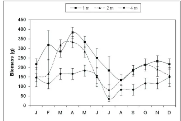 Figure  1.  Monthly  changes  of  biomass  for Gracilaria  bursa- bursa-pastoris  grown  in  Thau  lagoon  at  1.0,  2.0  and  4.0  m  depths