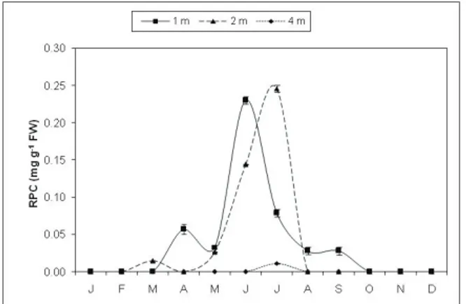 Figure 6. Monthly changes of chlorophyll a content (mean±SD,  n=3) for G. bursa-pastoris grown at different depths (1.0, 2.0  and 4.0 m) in Thau lagoon.