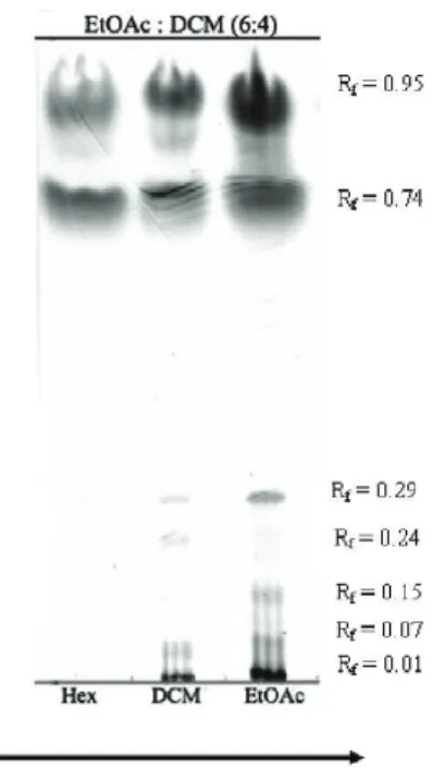 Figure  3.  Effects  of  S.  schröederi  extracts  on  hydrolysis  of  S-2238.  Inhibitory  effect  of  S