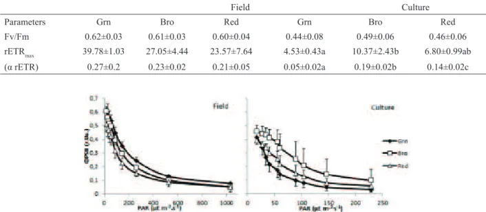 Figure 1. Effective quantum yield (Φ PSII) as a function of the irradiance for green (Grn), brown (Bro) and red (Red) colour strains  of Hypnea  musciformis  in the ield and under culture conditions