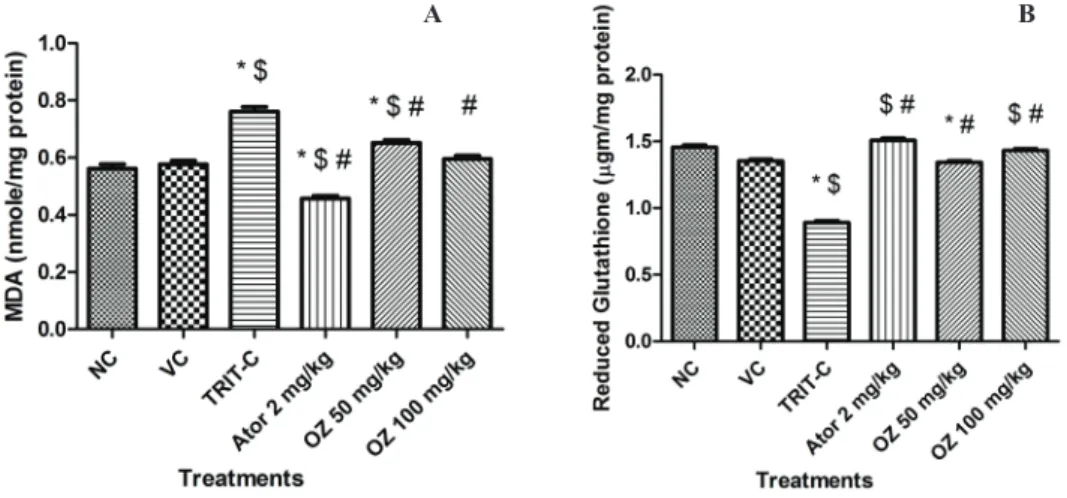Figure 2. Effect of oryzanol pre-treatment on A. lipid peroxidation (malondialdehyde level); B