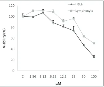 Figure 1.  A. Comparison of the cytotoxic effects of neobaicalein  on  HeLa  cells  and  normal  proliferating  lymphocytes  from  human  umbilical  cord  cells