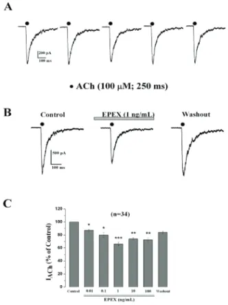 Figure  2.  EPEX  causes  a  concentration-dependent  mild  inhibition  of  the  inward  whole-cell  current  generated  by ACh  pulses