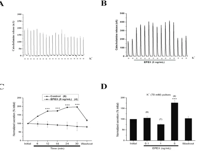 Figure  5A  shows  original  recordings  of  I Na  (left panel) and I Ba  (right panel) elicited by 15 or 50 ms 