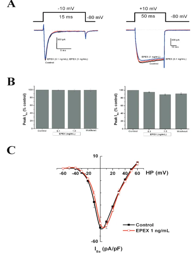 Figure 5. EPEX did not significantly modify the whole-cell inward currents through voltage-gated sodium (I Na ) and calcium  (I Ba )  channels