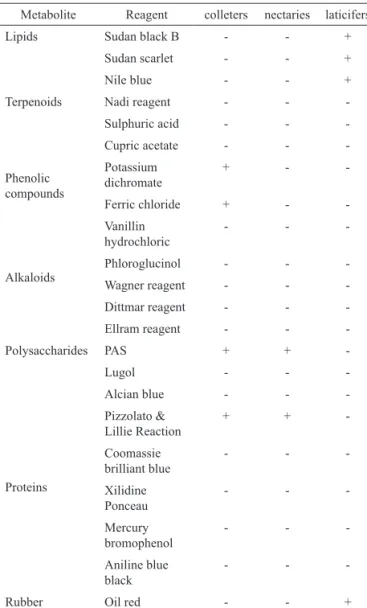 Table 2. Histochemical characterization of colleters, nectaries  and laticifers from the leaves of Ipomoea asarifolia.