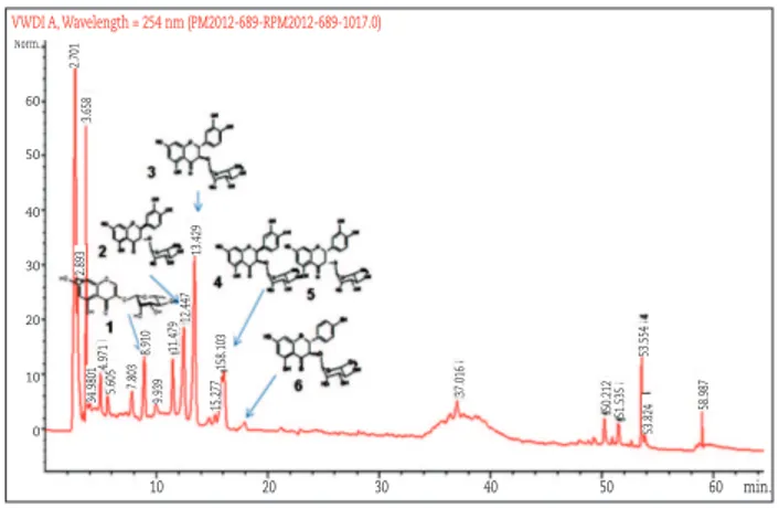 Figure 1 - HPLC chromatogram of fraction 15% ACN BuOH  from EB689 (obtained from Abarema auriculata), at 254 nm