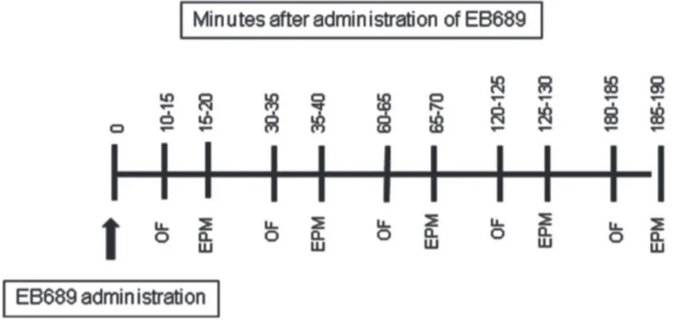 Figure 2 - Experiment design diagram of the first and second stage. Behavioral effects of EB689 after intraperitoneal injection,  in mice: time line related to the experimental design of first stage of experiments