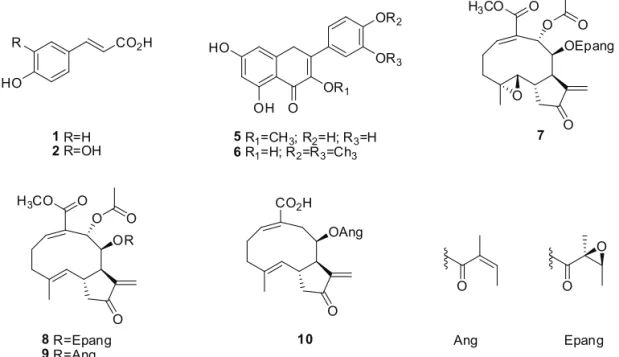 Table 1.  Concentrations (µg/mL) of the compounds present in the three yacon leaf extracts investigated in this work as obtained by  HPLC-UV-DAD analytical curve.
