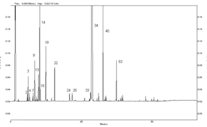 Figure  2.  GC  chromatogram  of  Thymus  capitatus  essential  oil showing the major components