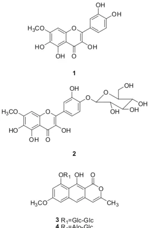 Table  1.  Antimycobacterial  activity  of  Paepalanthus  spp. 