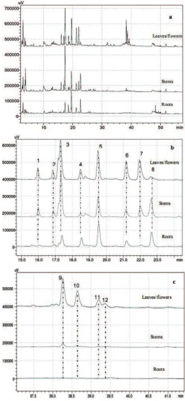 Figure 2.  Characteristic chromatographic proiles of roots, stems  and leaves/lowers of  Bidens pilosa extracts obtained by dynamic  maceration at optimized conditions (condition 2) (a)