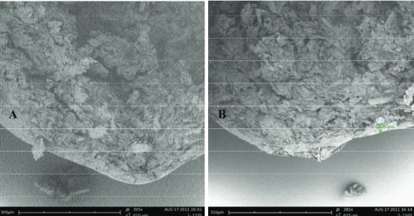 Figure 2. SEM micrographs of PVA-PEG coated pellets (a) and PVP K-30 coated pellets (b)