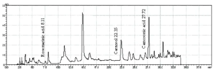 Figure 1. HPLC chromatogram of rosemary extract.