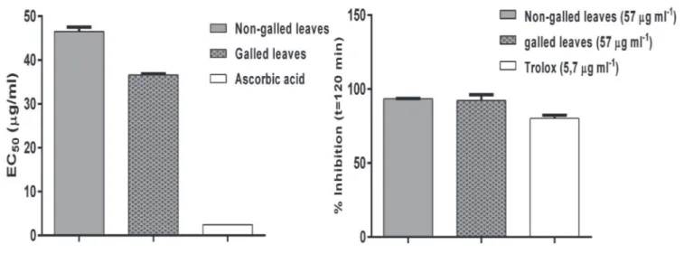 Figure 4 – The antioxidant activity of the extracts of C. lanceolata measured by DPPH and β-carotene/linoleic acid assays.