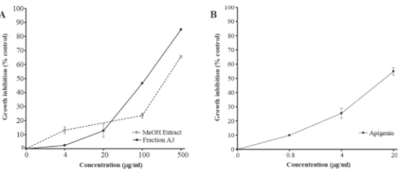 Figure 3 – Effect of methanol extract, fraction A3 and apigenin of the fruits from Schinus terebinthifolius on the growth of Mycobacterium  bovis BCG evaluated by the MTT test