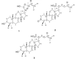 Figure 1 – Cytotoxic activity of compounds 1-2 against MCF- MCF-7 cell line. Untreated cells and Doxorubicin were used as  negative and positive control respectively