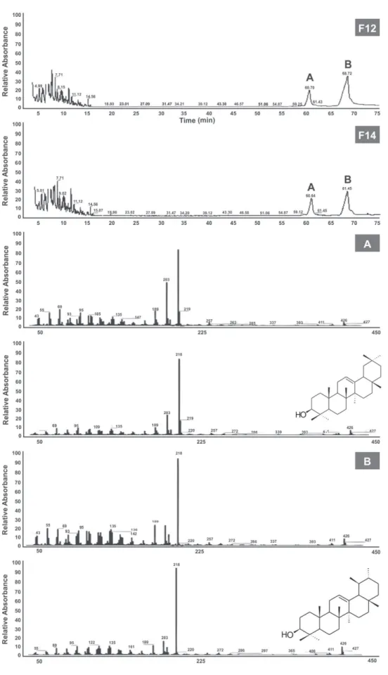 Figure 1 – Profiles of fractions F12 and F14 of Protium heptaphyllum with the GC-MS attributions of the components detected and  the MS spectra of β-amyrin (A) and α-amyrin (B).