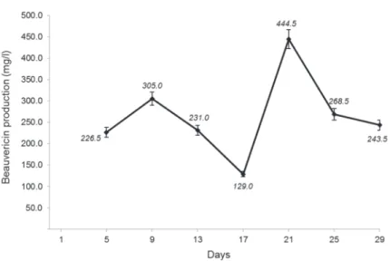 Figure 1 – Yields of beauvericin in crude extracts (days 5-29).
