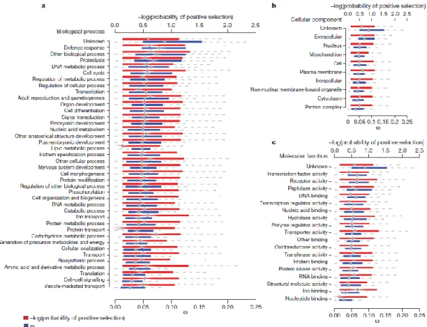 Figure 7- Patterns of constraint and positive selection among GO terms: a, biological process GO terms; b, cellular component GO  terms; and c, molecular function GO term