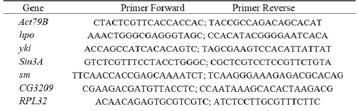 Table 2- Sequence of primers forward and reverse for the 6 candidate genes and the reference gene (RPL32)