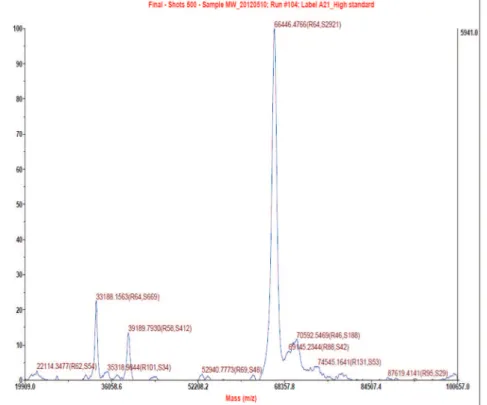 Figure 2 – Identification of BSA by MALDI-TOF MS.