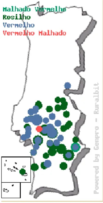 Figura 1.6 Mapa de distribuição da raça Mertolenga. Fonte: Ruralbit 