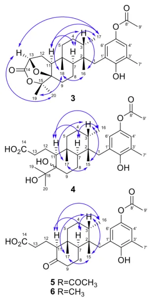 Fig. 3. Key ROESY correlations of the metabolites 3–5.