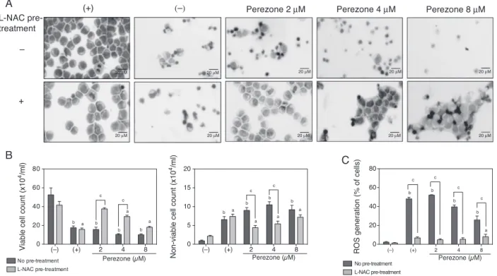 Fig. 2. Influence of reactive oxygen species (ROS) on the cytotoxicity induced by perezone (1) on HL-60 cells with or without 1 h pre-treatment with 5 ␮M l -NAC 5