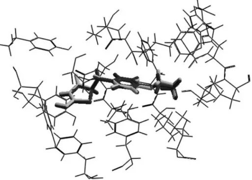 Fig. 2. Superposition of crystal pose (black) and docking pose (gray) validating the methodology.