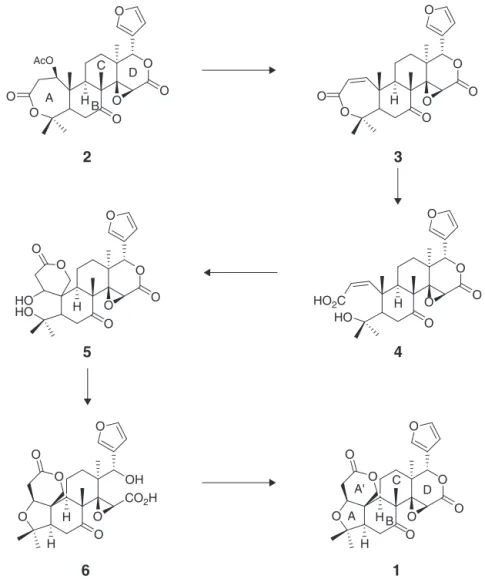 Fig. 1. Limonin biosynthesis pathway proposed by Breska et al. (2007).