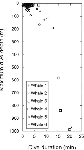 Fig. 2.  Dive duration and maximum dive depth for 59  dives deeper than 10 m recorded from six adult  short-finned pilot whales