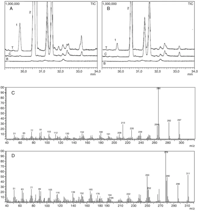 Fig. 1. Representative GC chromatograms of rat (chart A) and human microsomes extracts (chart B), signal 1: 8-oxo-erythraline (R t = 29.81 min) and signal 2: ERT (R t = 30.6 min)