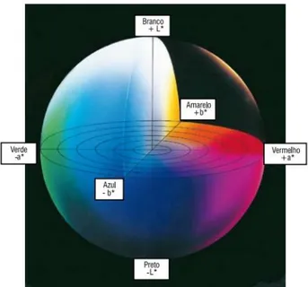 Figura 2.8: Diagrama de cor do sistema CIELAB (Bridi e Silva, 2009)