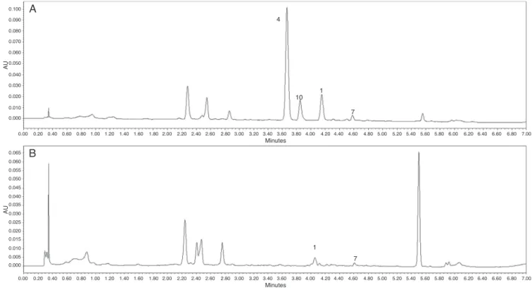 Fig. 1. UPLC chromatograms of crude ethanol extracts (200 ␮g/g) from leaves (A) and from combination of stems with roots (B) of V