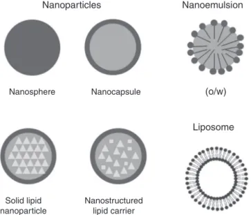 Fig. 1. Different architectures of nanosystems used to improve biopharmaceutical properties of plant extracts.