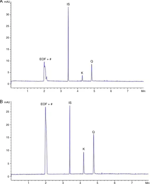 Fig. 2. Electhropherograms of Rubus erythrocladus (A) and Morus nigra (B) hydrolyzed leaves extracts by CE-DAD, 200 nm