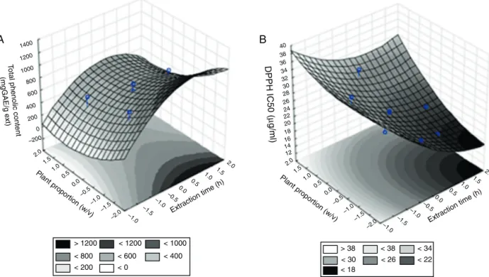 Fig. 1. Response surface plot from central composite 2 2 for the total phenolic content (A) and for antioxidant activity (B) in Nectandra falcifolia extracts