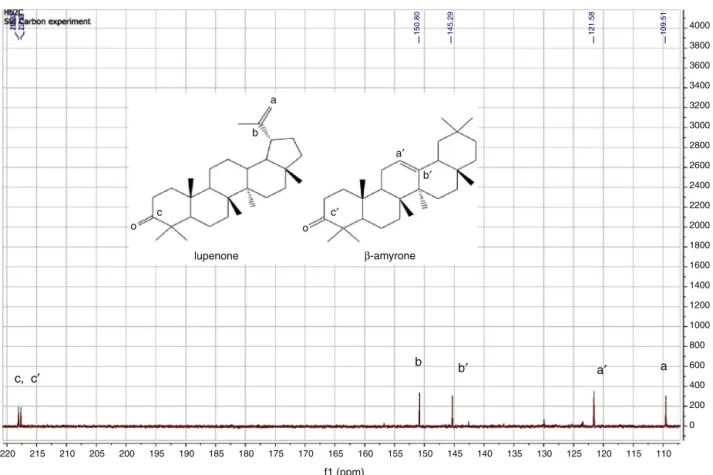 Fig. 1. Characteristical part of the 13 C NMR spectrum of the 1:1 lupenone/␤-amyrone mixture.